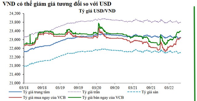 Dự báo VND mất giá 3% so với USD trong năm 2022, lãi suất huy động tăng  1 - 1,5 điểm %  - Ảnh 1.