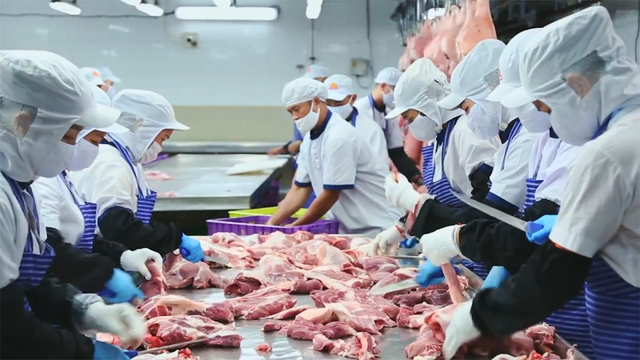  Giá thịt lợn không ngừng tăng cao tại các tỉnh phía Nam  - Ảnh 2.