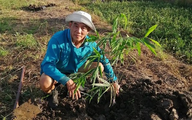 Cựu hiệu trưởng Somsak Jiteurtragool bên một cây con trong vườn - Ảnh: FACEBOOK