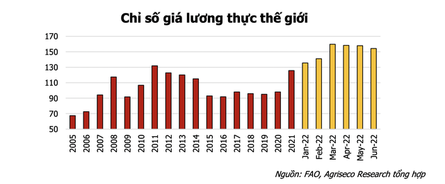 Giá cả hàng hoá đảo chiều, cổ phiếu Thép, Dầu khí, Phân bón, Chăn nuôi sẽ diễn biến ra sao trong nửa cuối năm? - Ảnh 1.