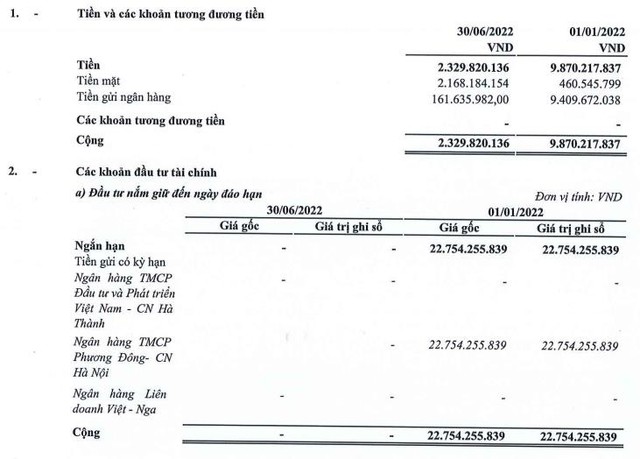 FLC Stone (AMD) lần đầu tiên báo lỗ kể từ khi niêm yết, phải trích lập dự phòng khoản nợ của Bamboo Airways - Ảnh 1.