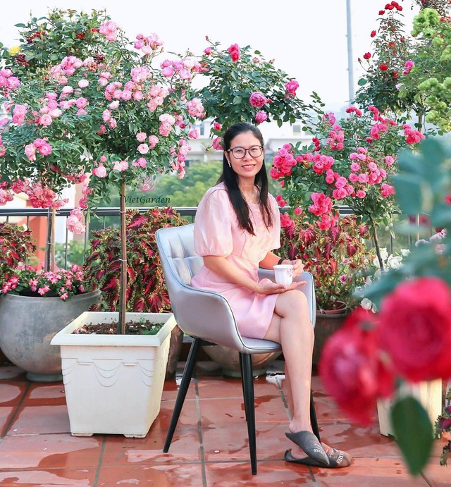 Đầm sen trên ban công đẹp nức lòng với gần 20 loại giống của chủ trang trại hoa nổi tiếng ở Hà Nội - Ảnh 1.