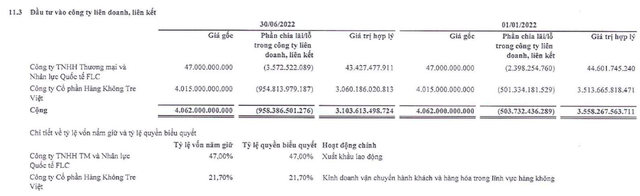 Tập đoàn FLC lỗ ròng hơn ngàn tỷ sau 6 tháng đầu năm - Ảnh 1.