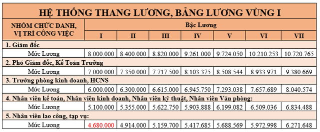 Cập nhật mẫu thang bảng lương mới nhất áp dụng từ ngày 1/7/2022 - Ảnh 2.