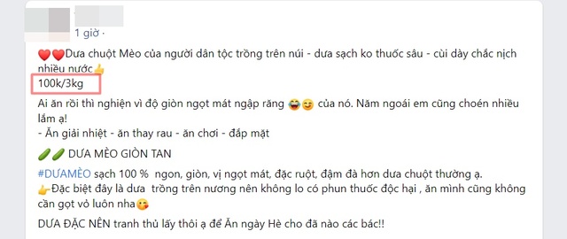 Dưa chuột “siêu to khổng lồ” xuống núi, giá cao vẫn hút khách - Ảnh 4.