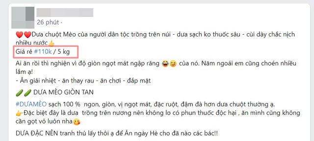 Dưa chuột “siêu to khổng lồ” xuống núi, giá cao vẫn hút khách - Ảnh 5.