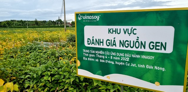 Vinasoy và chiến lược mạnh mẽ hậu Covid-19: Ra mắt sữa chua từ hạt đậu nành đầu tiên tại Việt Nam, khảo nghiệm toàn bộ 1.533 nguồn gen quý sau 10 năm thu thập - Ảnh 1.