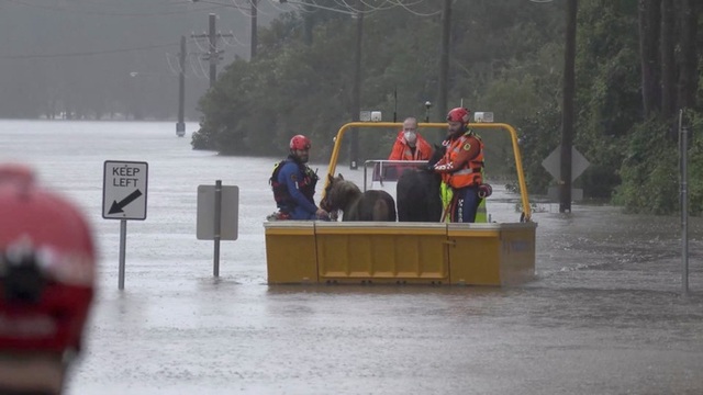  Úc: Dân Sydney tuyệt vọng vì lũ lụt  - Ảnh 1.