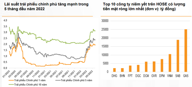 Chọn cổ phiếu phòng thủ hay đầu tư phòng thủ cho nửa cuối năm 2022? - Ảnh 3.