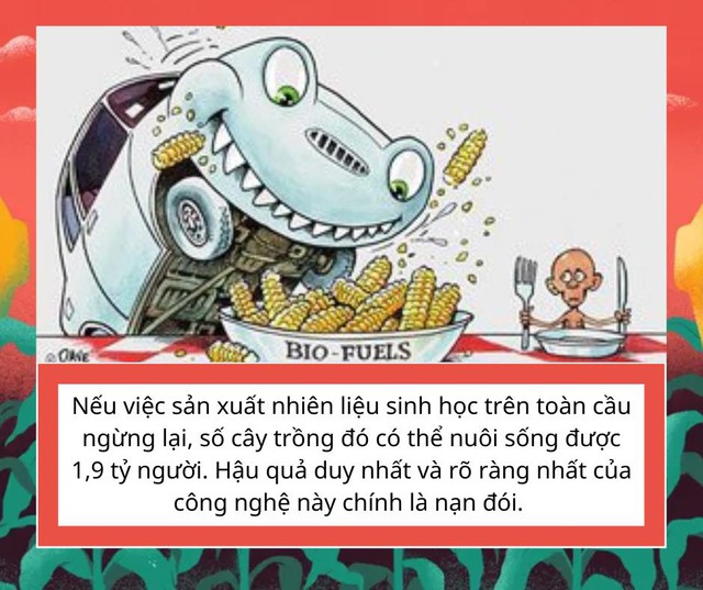 Nghịch lý lương thực dùng để nuôi ... ô tô - Ảnh 1.