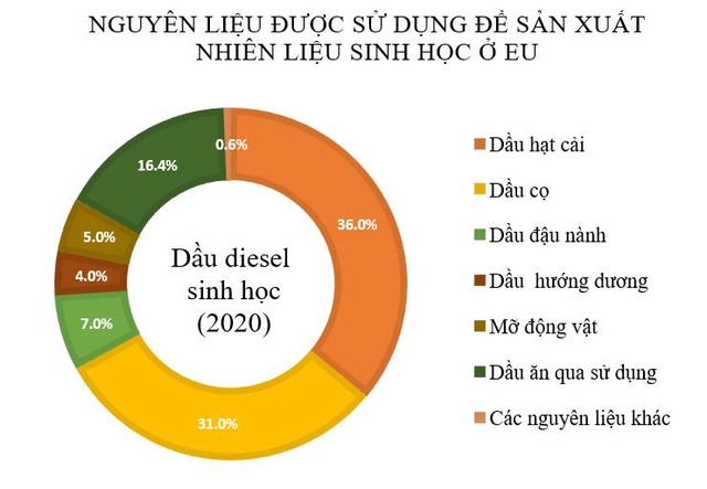 Nghịch lý lương thực dùng để nuôi ... ô tô  - Ảnh 2.