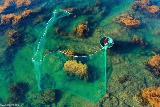 Hình ảnh ngư dân tung lưới đánh cá đầy ảo diệu ở Bình Định khiến ai cũng trầm trồ về cảnh sắc Việt Nam  - Ảnh 5.