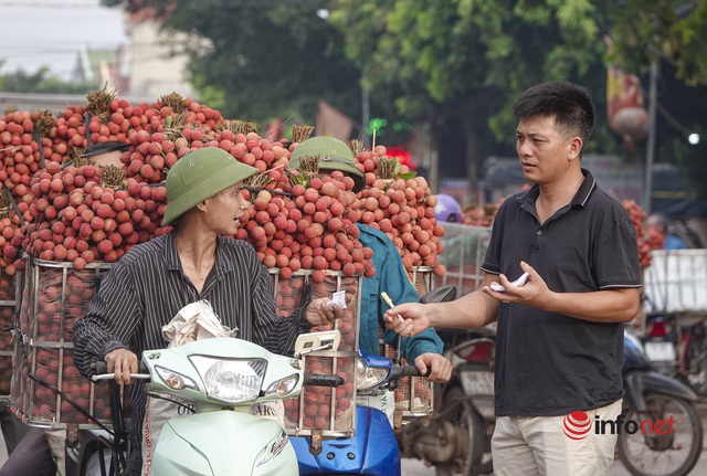 Bắc Giang: Vải vào vụ chín đỏ vườn, 5h sáng phóng xe máy cõng gần 2 tạ quả đi đổ buôn, quốc lộ 31 tắc dài - Ảnh 6.