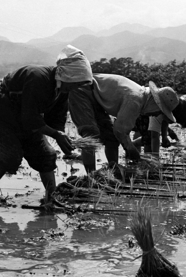 Tìm thấy chiếc thẻ nhớ cũ, nhiếp ảnh gia “bước lên máy thời gian” về quá khứ, ngược dòng về Nhật Bản gần 100 năm trước - Ảnh 22. Tìm thấy chiếc thẻ nhớ cũ, nhiếp ảnh gia “bước lên máy thời gian” về quá khứ, ngược dòng về Nhật Bản gần 100 năm trước - Ảnh 22.