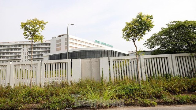 Cận cảnh bệnh viện Bạch Mai cơ sở 2 cổng đóng then cài hoang hoá nhanh chóng - Ảnh 6.