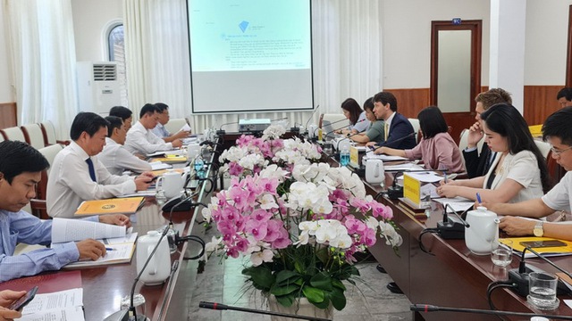 Tập đoàn điện gió ngoài khơi lớn nhất thế giới đề xuất đầu tư 2 dự án điện gió hơn 380.000 tỷ đồng tại Ninh Thuận - Ảnh 1.