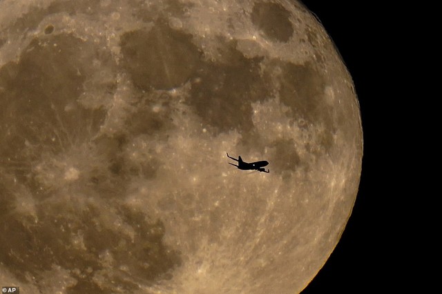 Ngắm siêu trăng cá tầm tỏa sáng khắp thế giới - Ảnh 7.