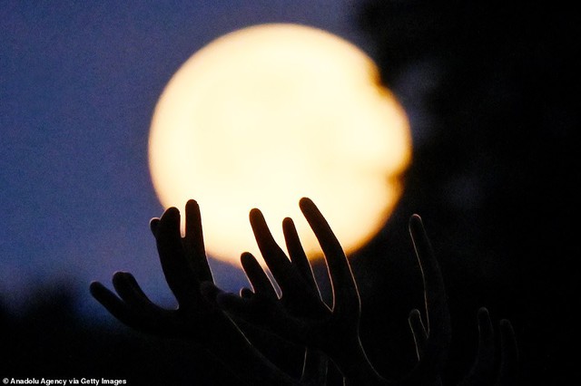 Ngắm siêu trăng cá tầm tỏa sáng khắp thế giới - Ảnh 8.