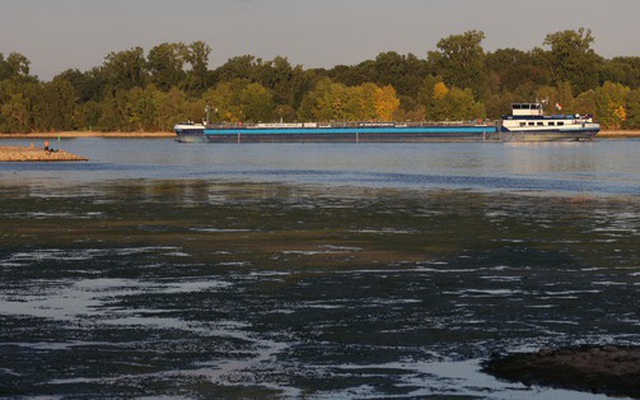 Một tàu chở hàng trên sông Rhine đi qua đoạn sông bắt đầu cạn dần vào ngày 12-8 - Ảnh: AFP