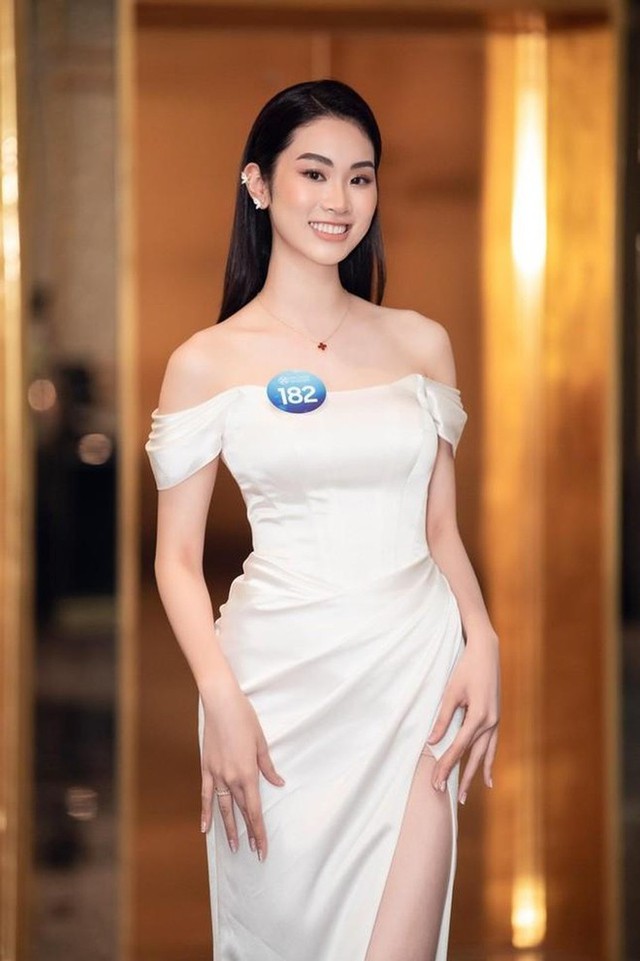 Không giành được vương miện Miss World Vietnam 2022, cô gái này vẫn gây ấn tượng vì HỌC VẤN cực khủng - Ảnh 1.