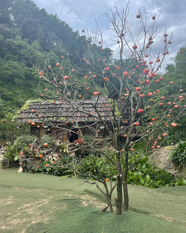 Visit Cat Cat Village, Sapa - The most beautiful ancient village in the Northwest - Photo 16.