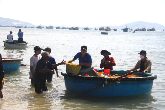 Binh Thuan fishermen hit the peak anchovies in the Southern crop - Photo 1.