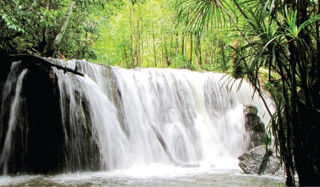 Bốn thác nước tuyệt đẹp của Việt Nam lên tem bưu chính - Ảnh 5.