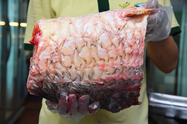 Cá sọc dưa - Loài cá sống tới 50 năm mang theo hương vị của Tây Nguyên - Ảnh 7.