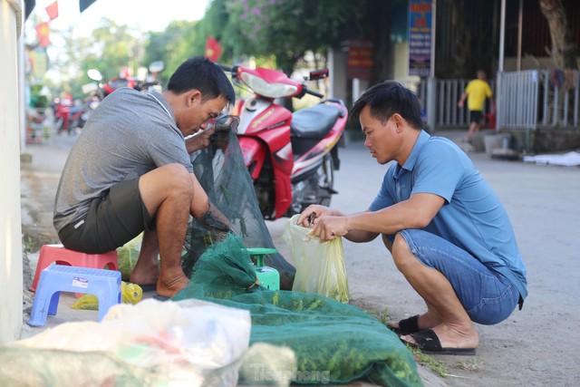 Phiên chợ bán ‘tôm bay’, giá nửa triệu mỗi kg vẫn cháy hàng - Ảnh 6.