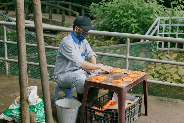 Thảo Cầm Viên - địa điểm “cũ” đang nổi trở lại: Có gì thú vị mà giới trẻ kéo nhau đến rần rần? - Ảnh 17.