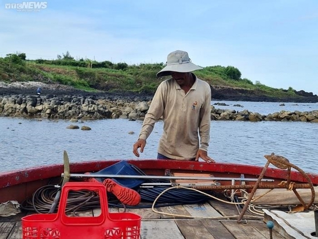 Lặn biển săn nhum, ngư dân Quảng Ngãi phấn khởi thu bạc triệu - Ảnh 3.