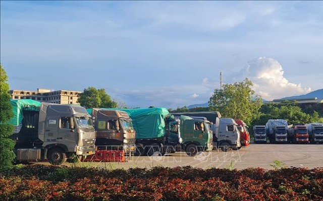 Nhiều phương tiện chở hàng bị “mắc kẹt” tại cửa khẩu Lào Cai. Ảnh: Hương Thu/TTXVN