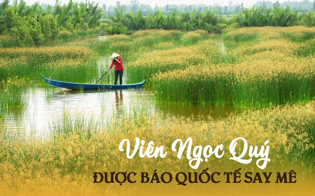 1 nơi ở Việt Nam được chuyên trang du lịch quốc tế gọi là 'Viên ngọc quý': Niềm mơ ước của người mê sinh thái