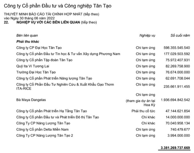 Công ty Tân Tạo của bà Đặng Thị Hoàng Yến công bố lại báo cáo tài chính - Ảnh 1.