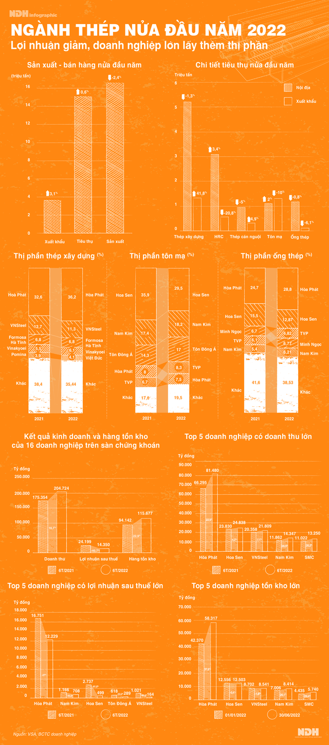 Ngành thép nửa đầu năm: Lợi nhuận giảm, doanh nghiệp lớn lấy thêm thị phần - Ảnh 1.