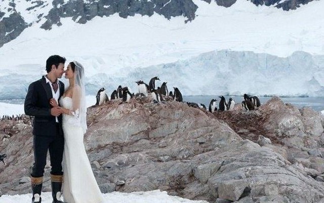 Dịch vụ tổ chức đám cưới ở Nam Cực dành cho cặp đôi thích mới lạ