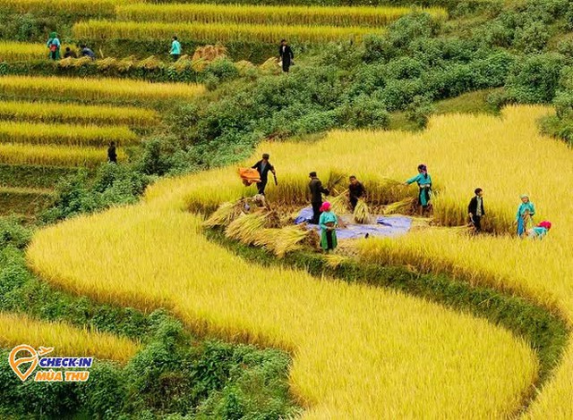 Tây Bắc mùa này có gì mà nhiều người đi đến thế: Tất cả đều mang vẻ đẹp chung của một thứ - Ảnh 12.