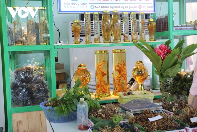 Giao dịch hàng tỷ đồng tại phiên chợ sâm Ngọc linh tỉnh Quảng Nam - Ảnh 11.
