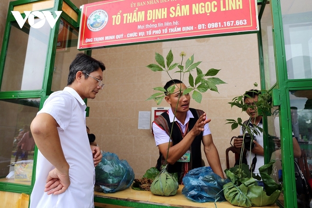 Giao dịch hàng tỷ đồng tại phiên chợ sâm Ngọc linh tỉnh Quảng Nam - Ảnh 3.