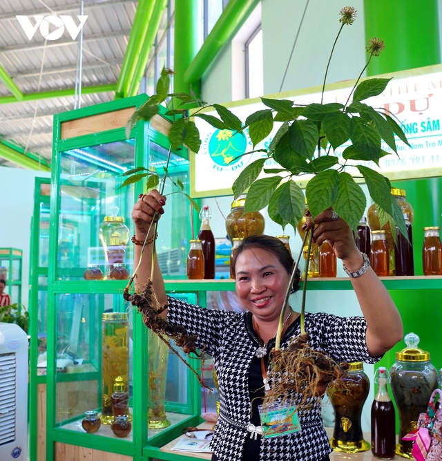 Giao dịch hàng tỷ đồng tại phiên chợ sâm Ngọc linh tỉnh Quảng Nam - Ảnh 8.