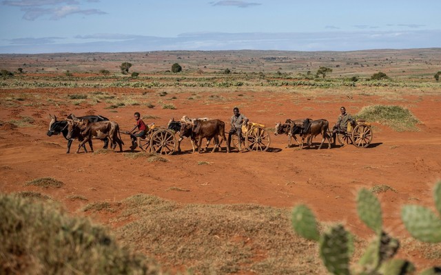 Hạn hán liên tiếp xảy ra ở Madagascar đã đẩy người dân đến bờ vực của nạn đói