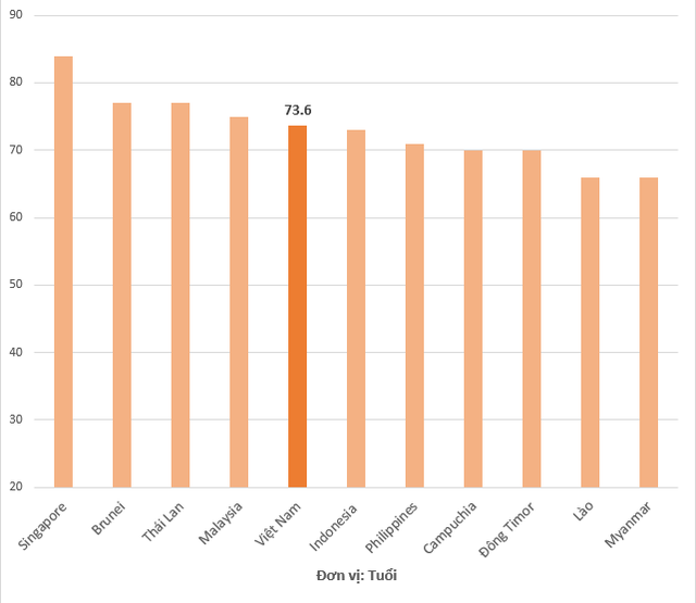 Tuổi thọ trung bình của người Việt cao thứ bao nhiêu trong khu vực Đông Nam Á? - Ảnh 2.