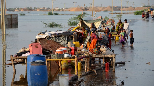 Chùm ảnh lũ lụt kinh hoàng ở Pakistan - Ảnh 7.