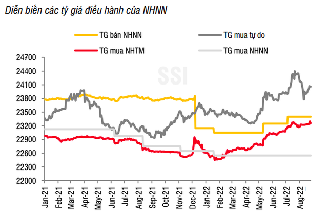 Áp lực lớn, Ngân hàng Nhà nước có thể tiếp tục phải nâng giá bán USD? - Ảnh 3.