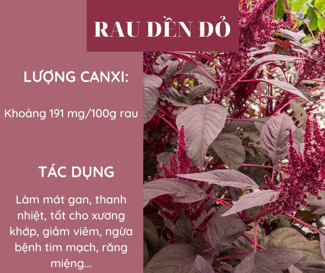 Các loại rau giàu canxi hơn sữa, bổ sung hàng ngày để phòng ngừa loãng xương