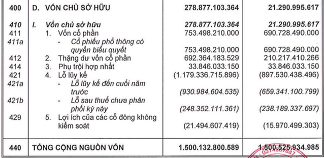 Ficus Asia Investment đã cứu Seedcom như thế... - Ảnh 2.