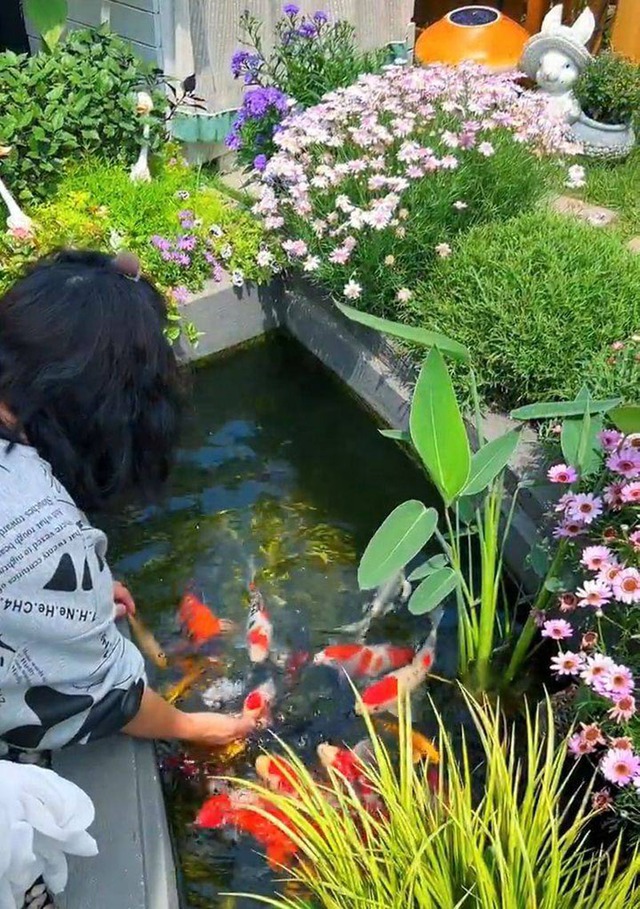 Mẹ đảm sở hữu khu vườn 60m² mỗi ngày trồng hoa, nuôi cá như đang nghỉ dưỡng tại gia - Ảnh 11.