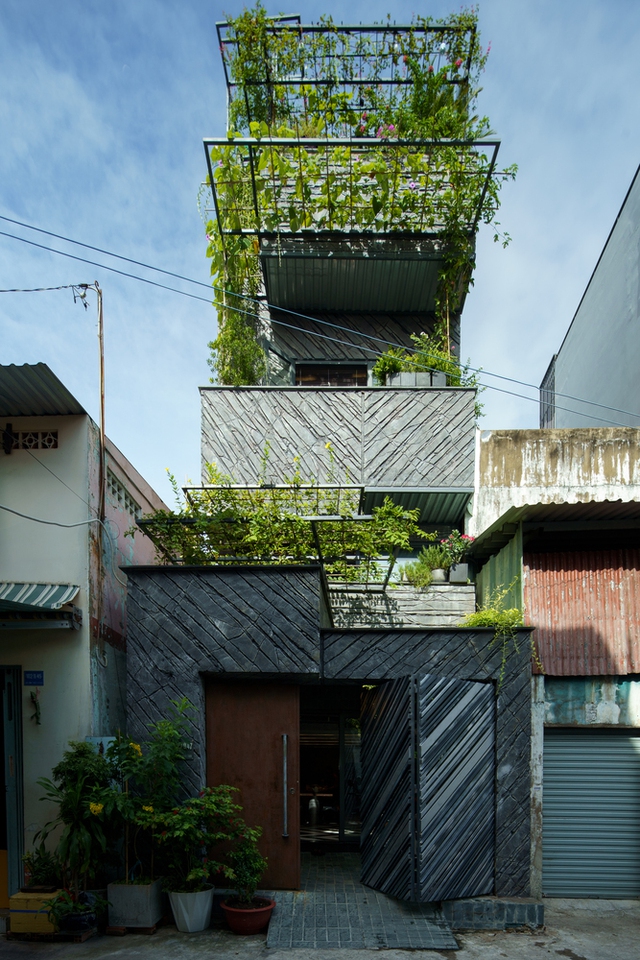 Phủ xanh không gian sống cho căn nhà phố giữa lòng Sài Gòn - Ảnh 1.