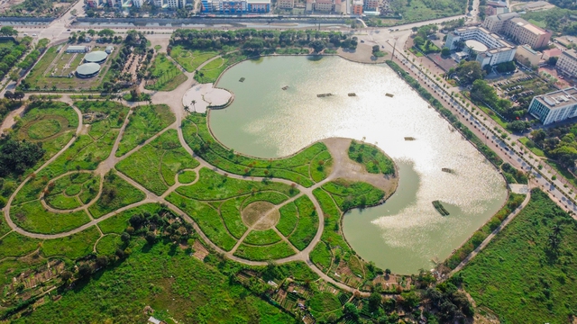  Công viên 16 ha ở Hà Nội bỏ hoang thành nơi trồng rau, đánh cá - Ảnh 1.