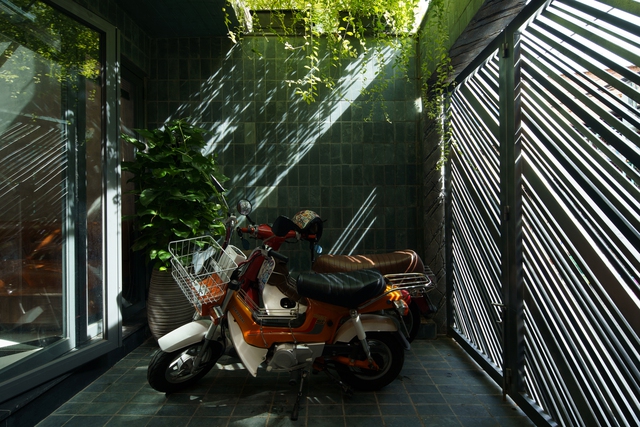 Phủ xanh không gian sống cho căn nhà phố giữa lòng Sài Gòn - Ảnh 3.